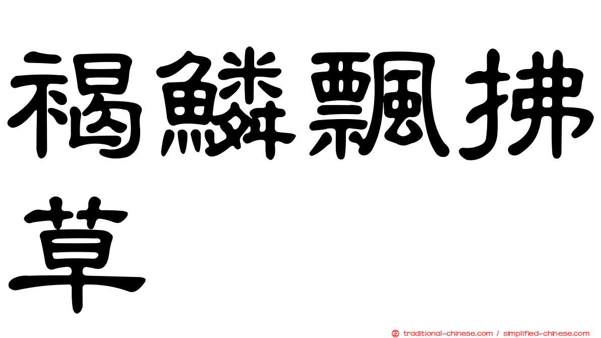 褐鱗飄拂草
