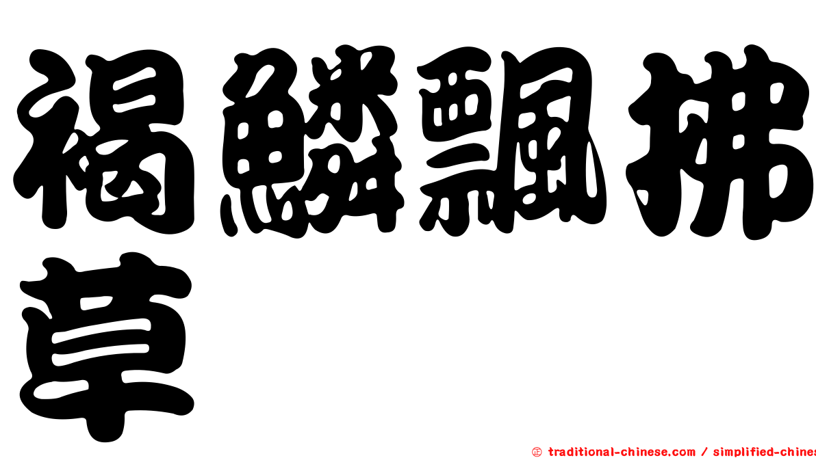 褐鱗飄拂草