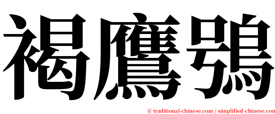 褐鷹鴞 serif font