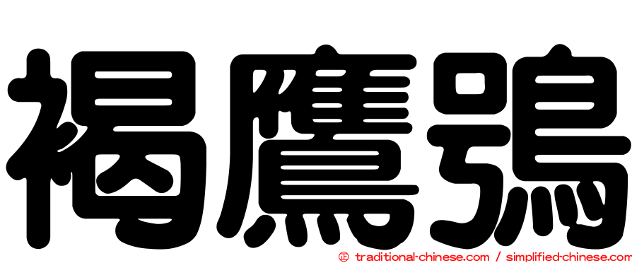 褐鷹鴞