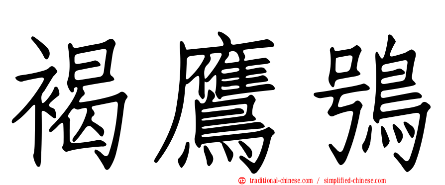 褐鷹鴞