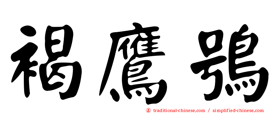 褐鷹鴞