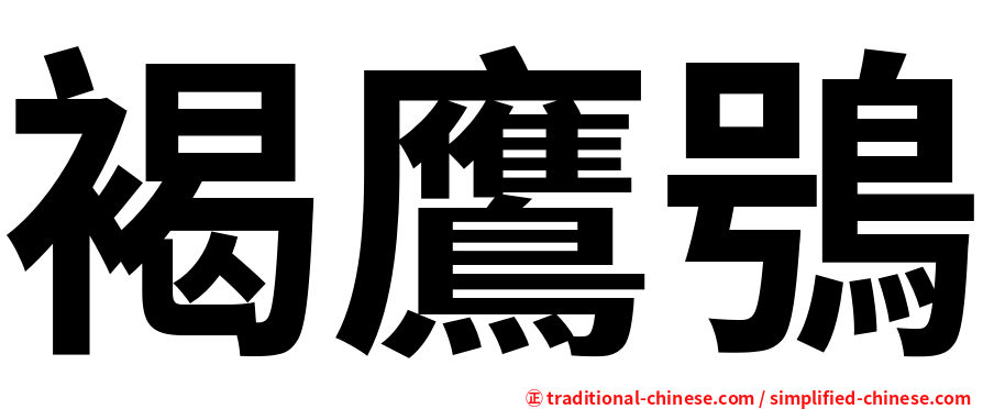 褐鷹鴞