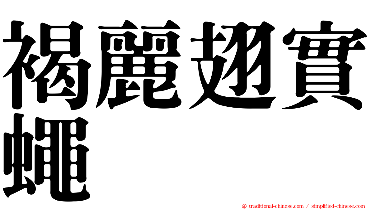 褐麗翅實蠅