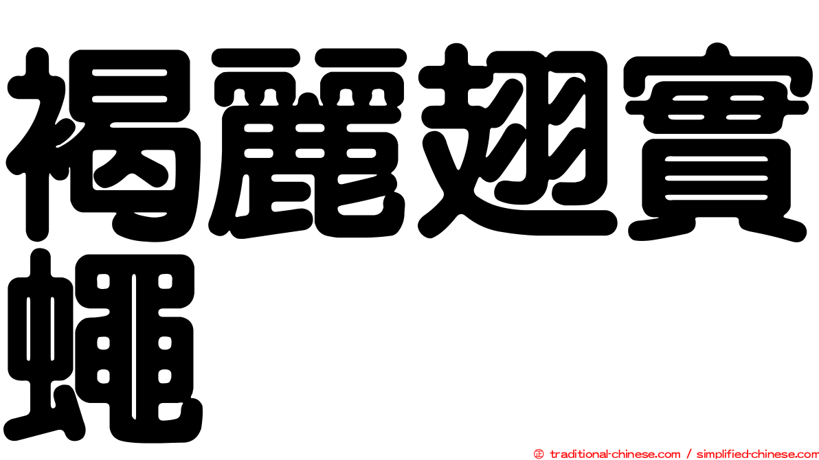 褐麗翅實蠅