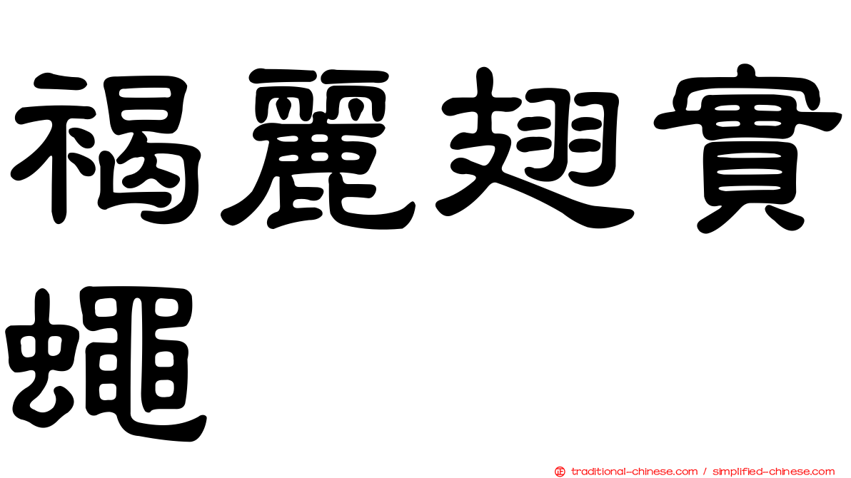 褐麗翅實蠅