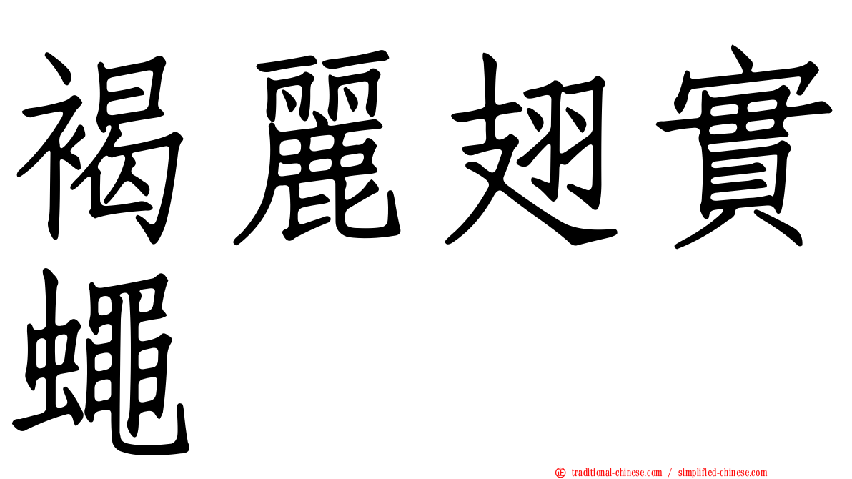 褐麗翅實蠅