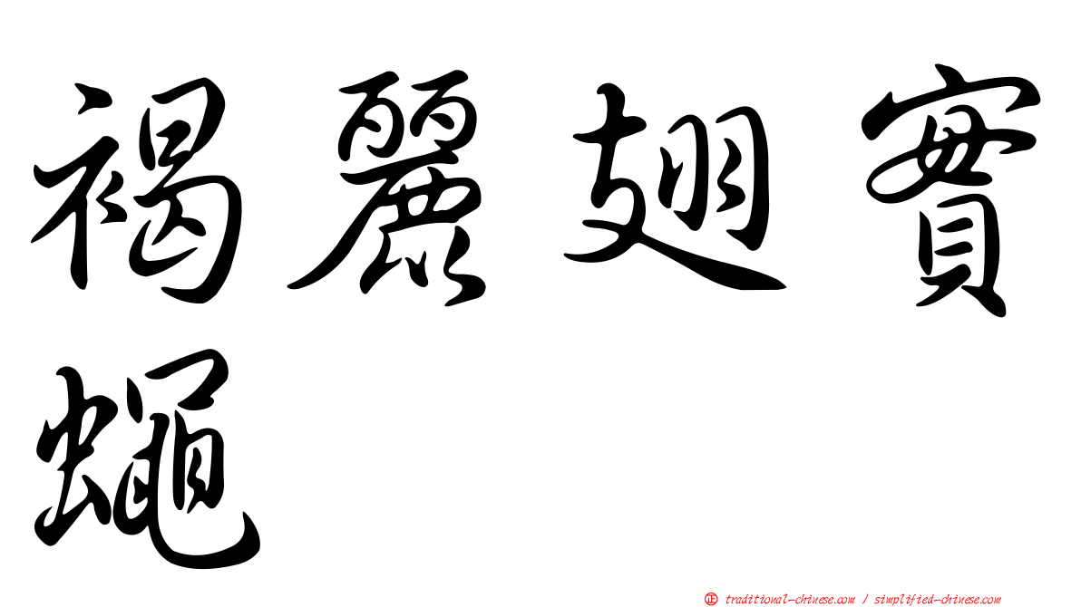 褐麗翅實蠅