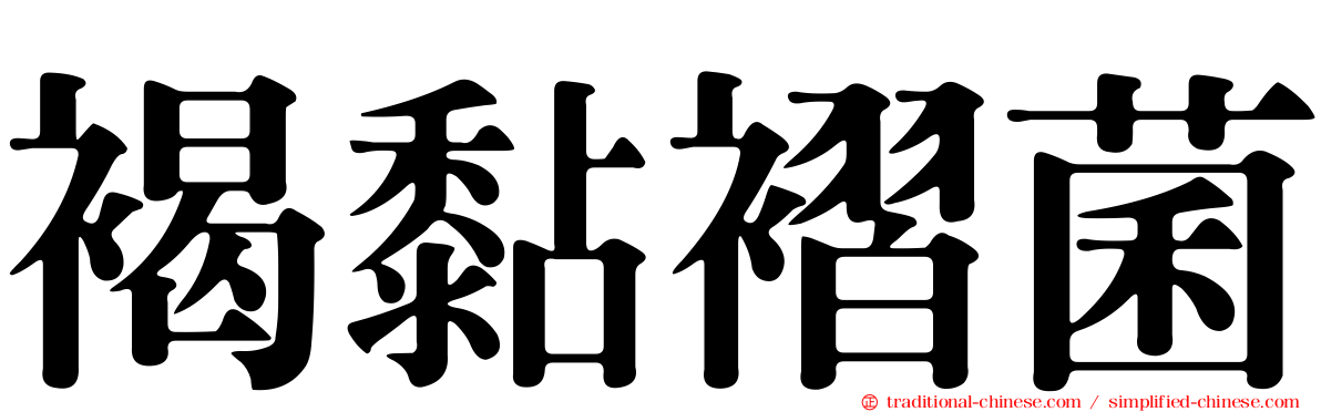 褐黏褶菌