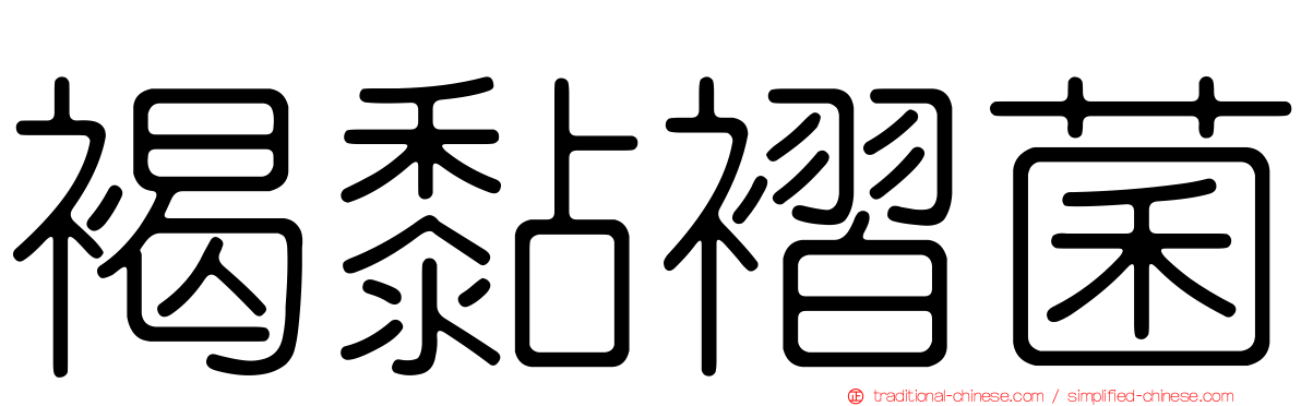 褐黏褶菌