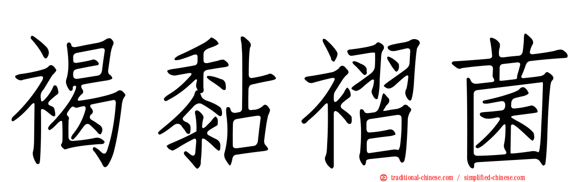 褐黏褶菌