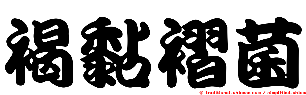 褐黏褶菌
