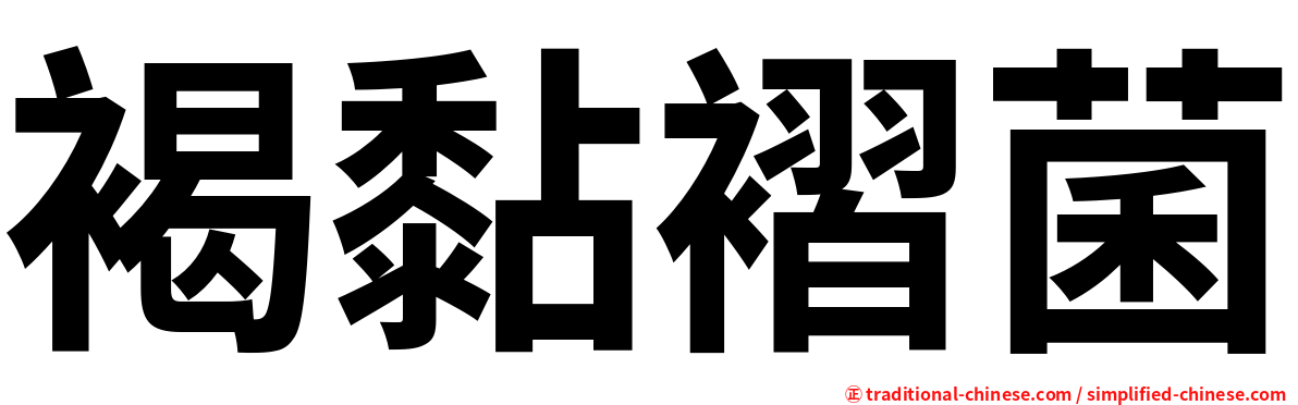 褐黏褶菌
