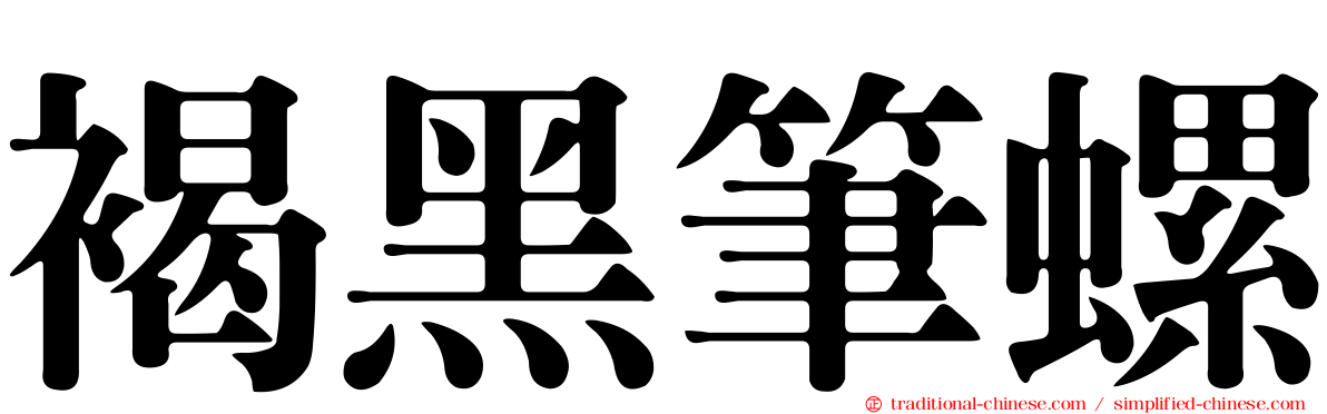 褐黑筆螺