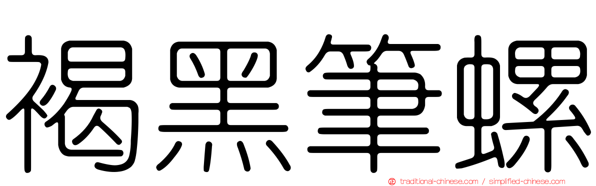 褐黑筆螺
