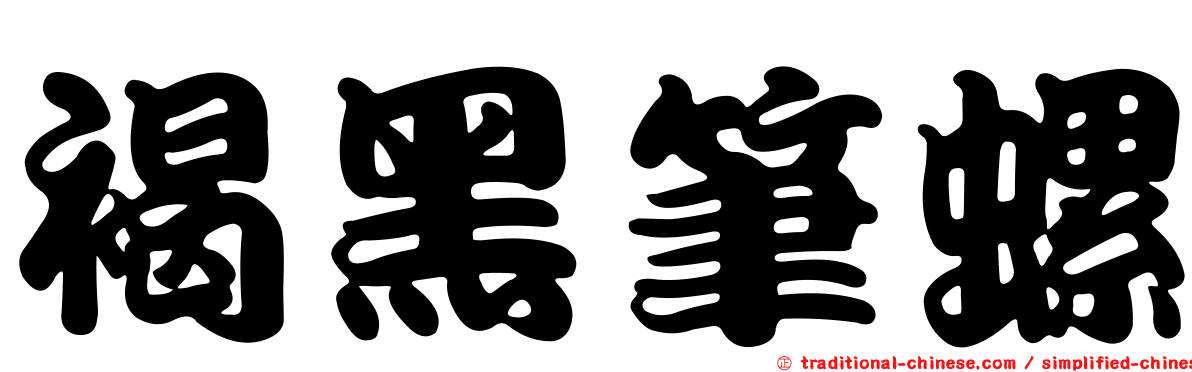 褐黑筆螺