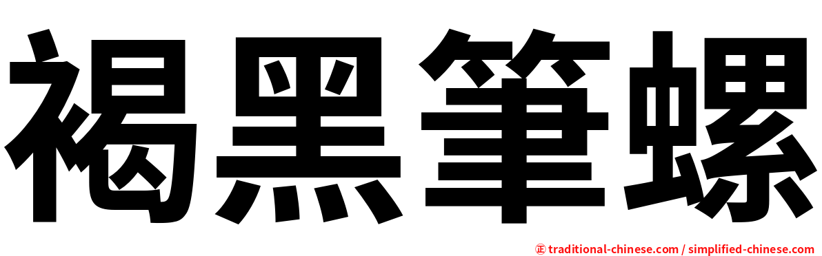 褐黑筆螺