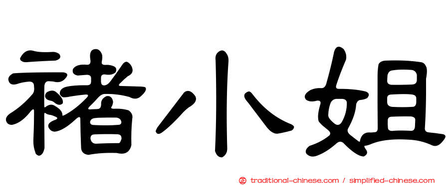 褚小姐