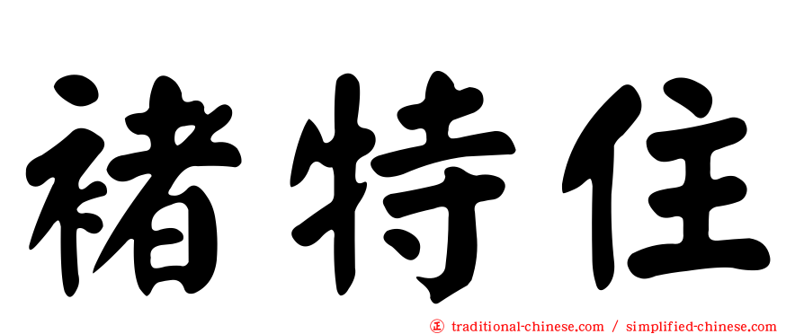 褚特住