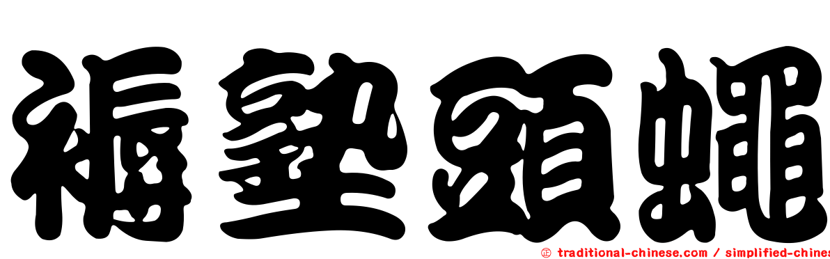褥塾頭蠅