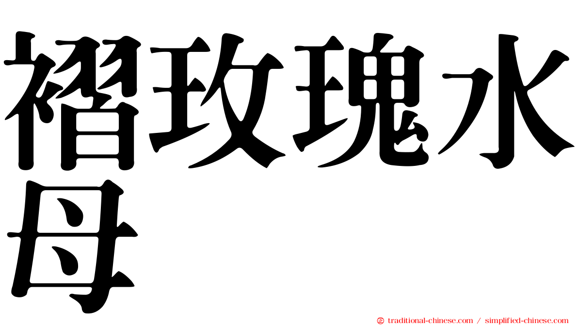 褶玫瑰水母