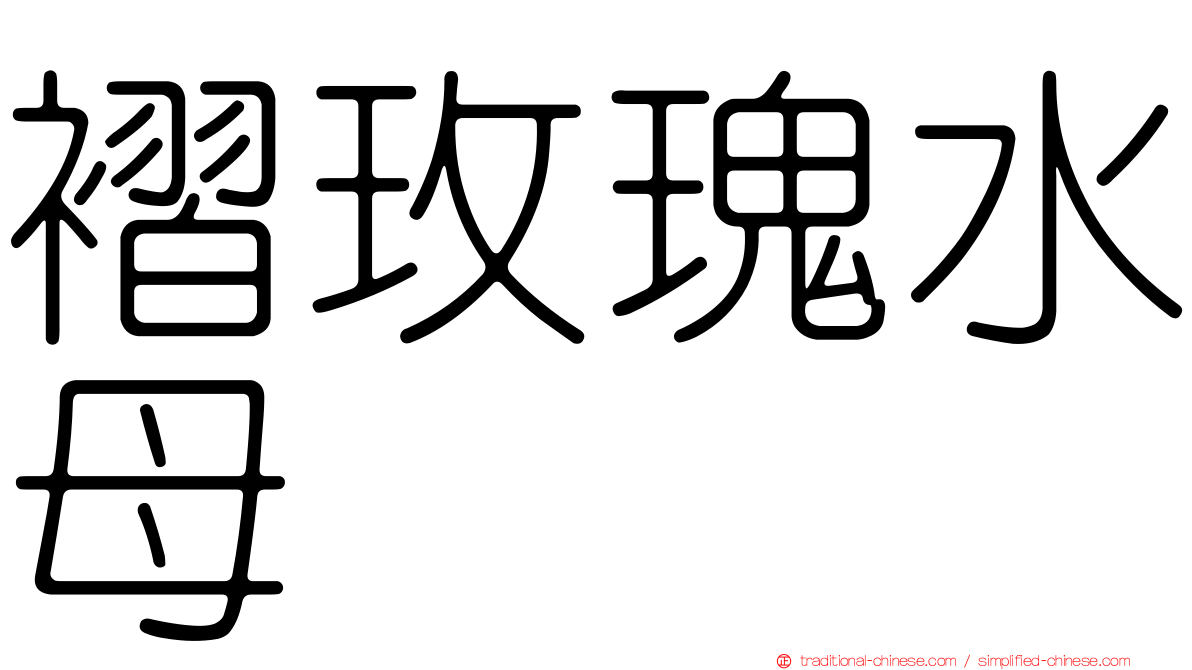 褶玫瑰水母
