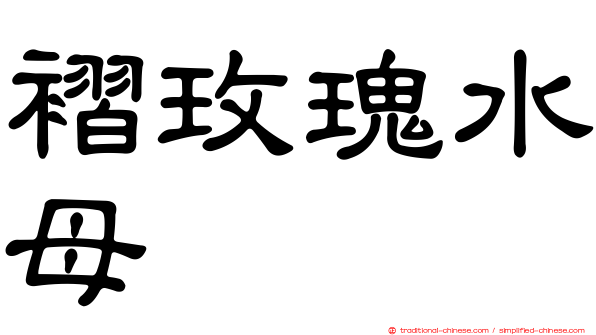 褶玫瑰水母