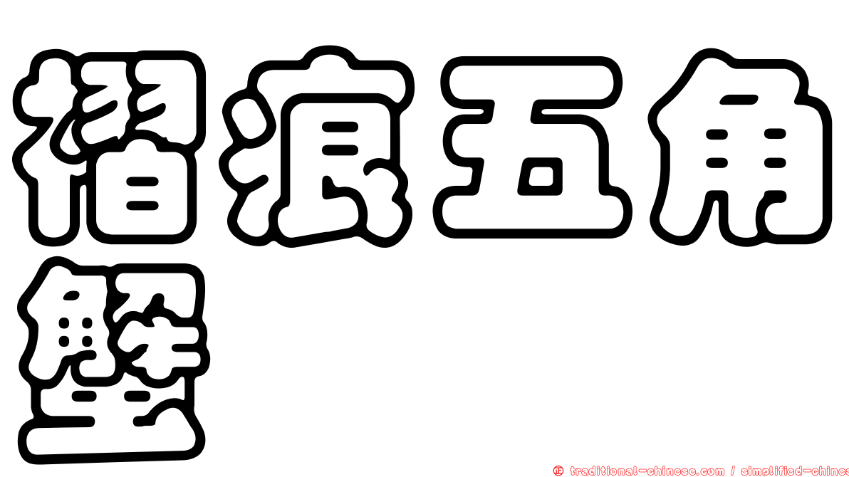 褶痕五角蟹