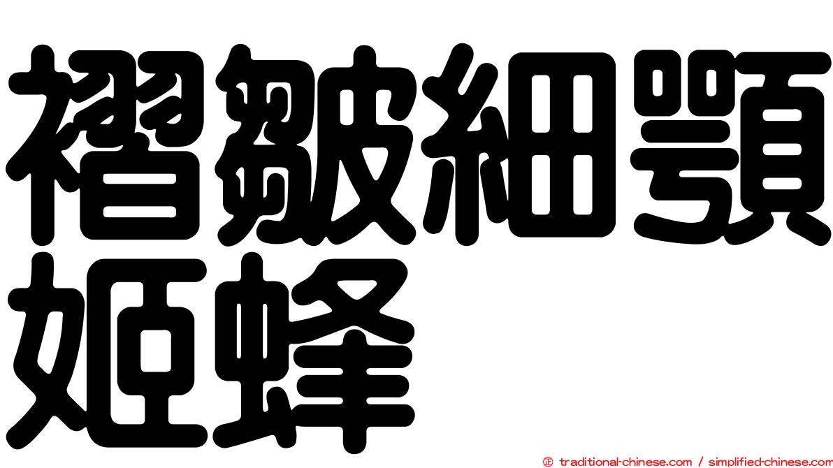 褶皺細顎姬蜂