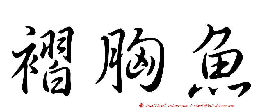 褶胸魚