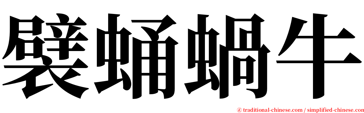 襞蛹蝸牛 serif font