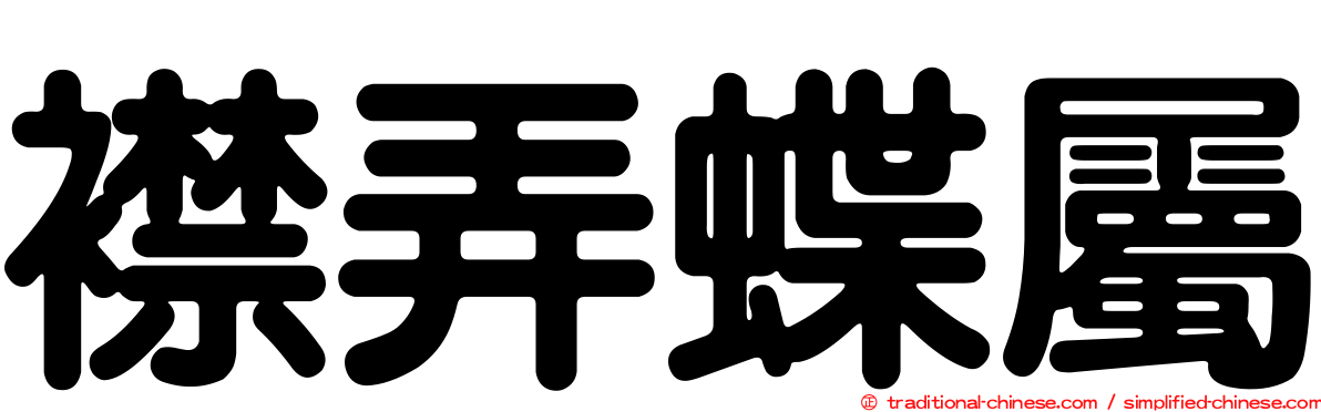 襟弄蝶屬