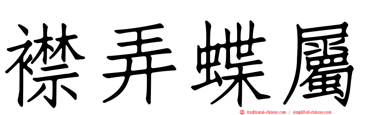 襟弄蝶屬