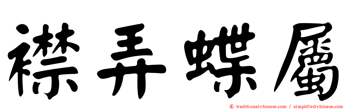 襟弄蝶屬