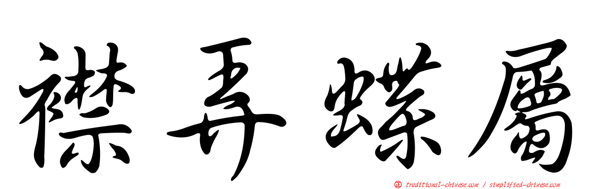 襟弄蝶屬