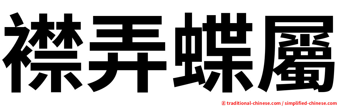 襟弄蝶屬