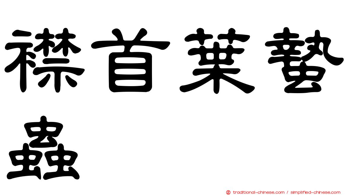 襟首葉蟄蟲
