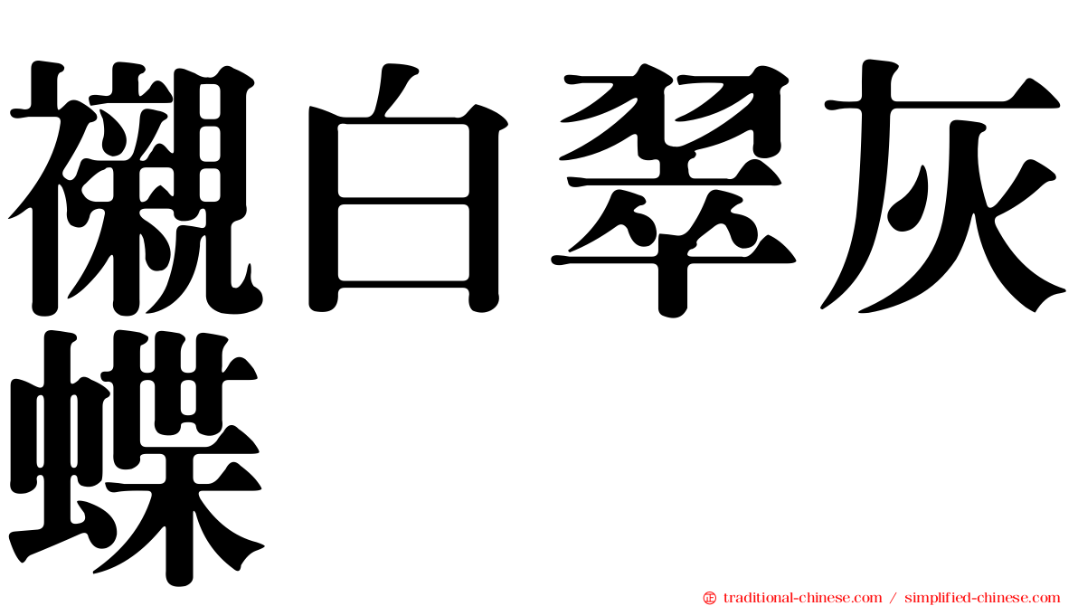 襯白翠灰蝶