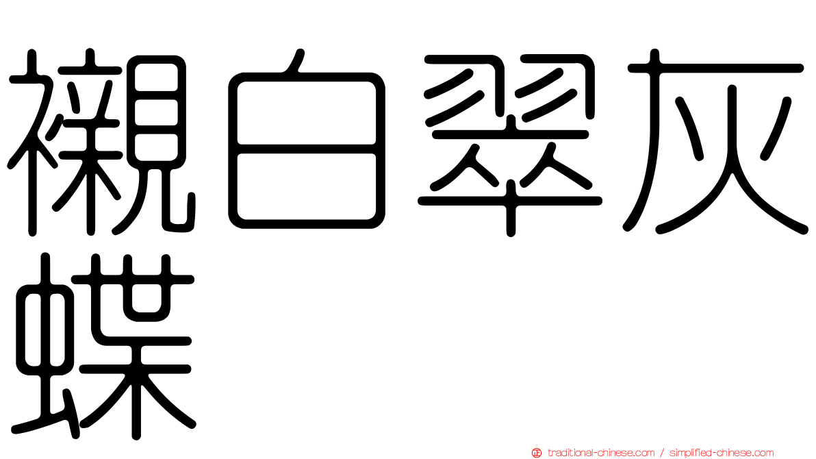 襯白翠灰蝶