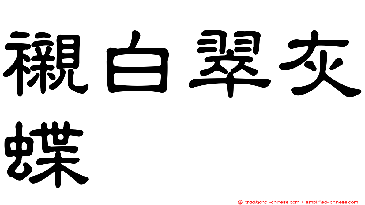 襯白翠灰蝶