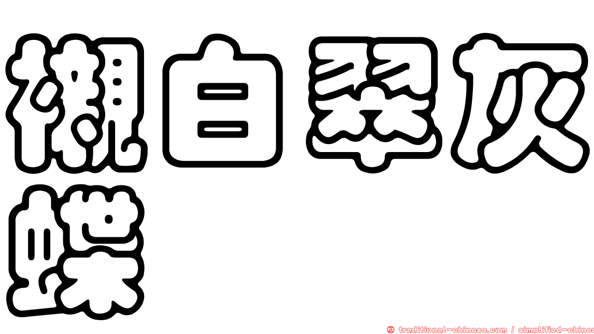 襯白翠灰蝶