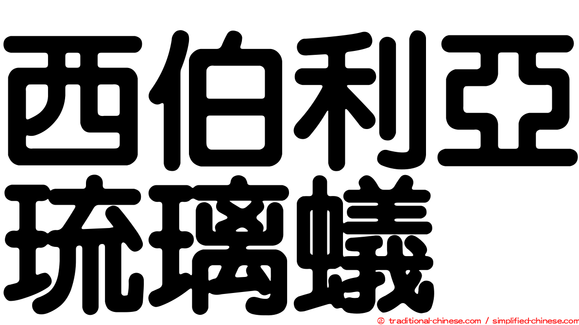 西伯利亞琉璃蟻