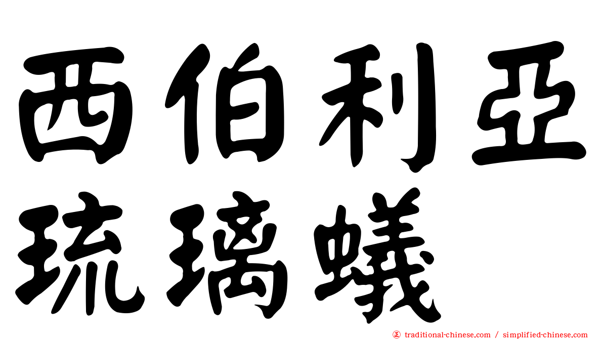 西伯利亞琉璃蟻