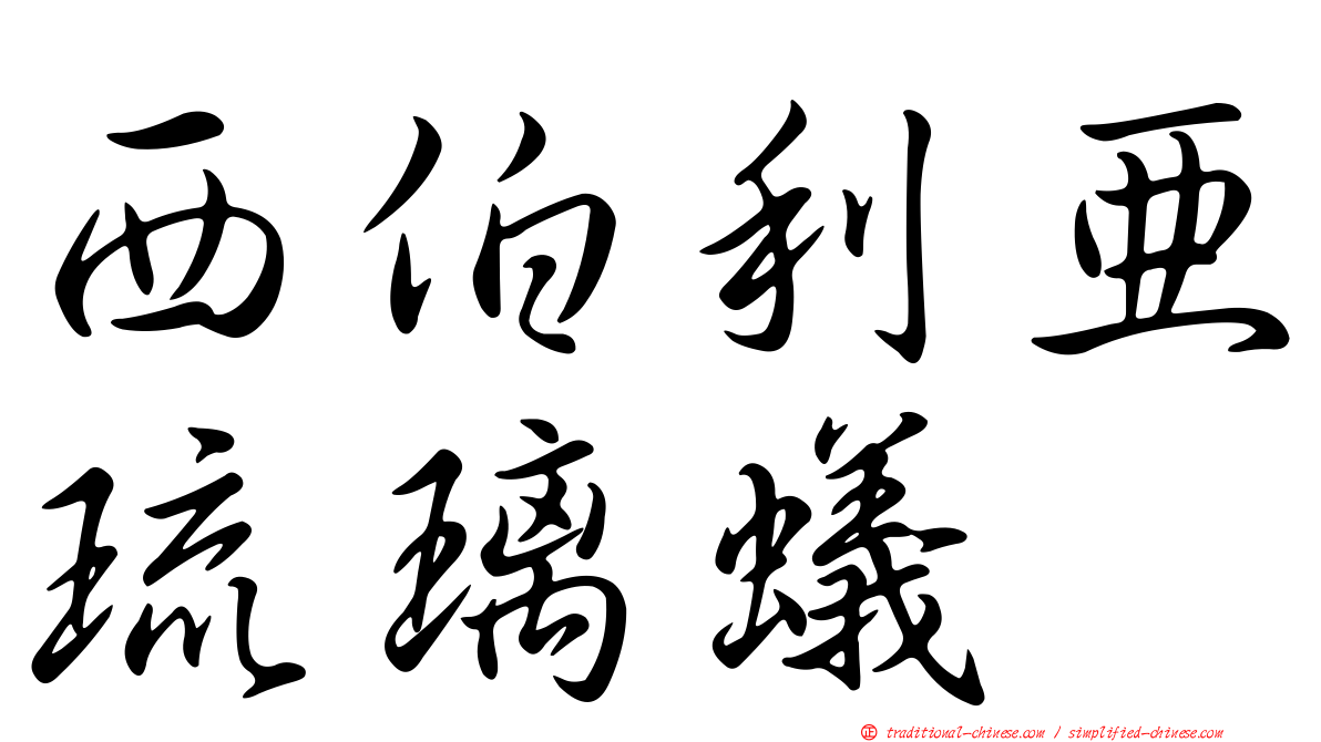 西伯利亞琉璃蟻