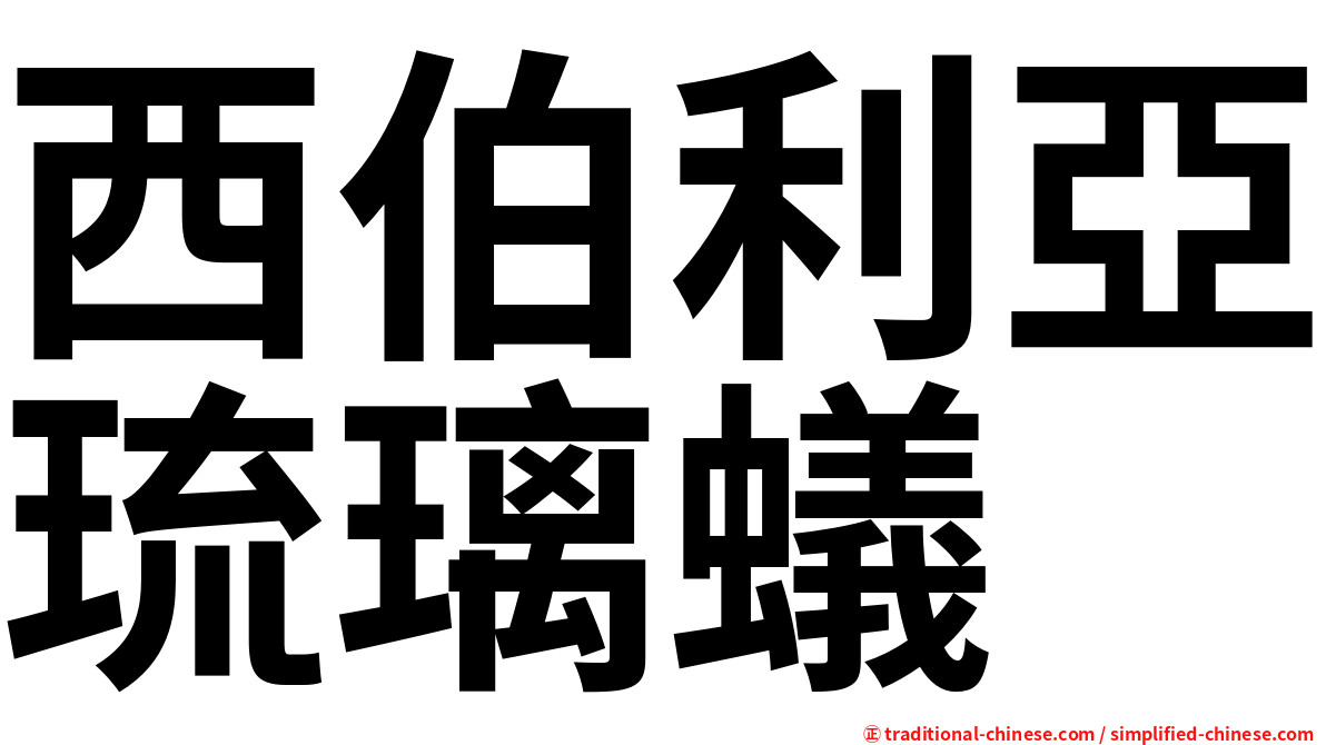 西伯利亞琉璃蟻