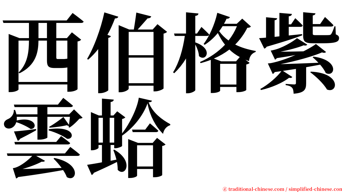 西伯格紫雲蛤 serif font
