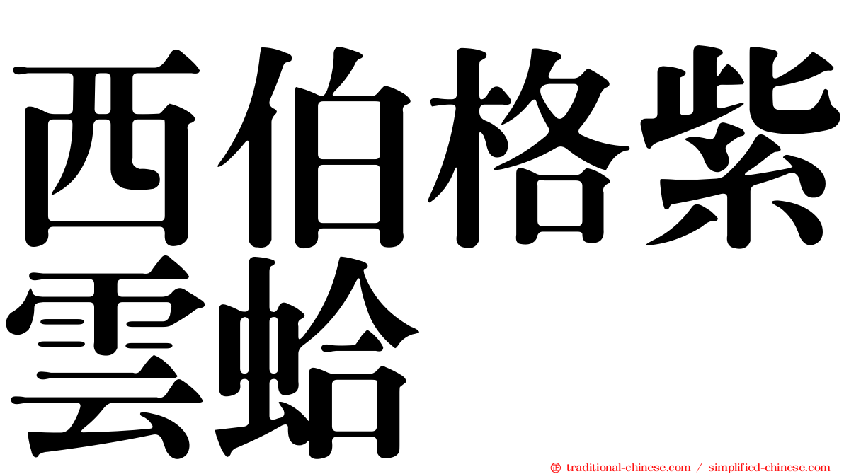 西伯格紫雲蛤