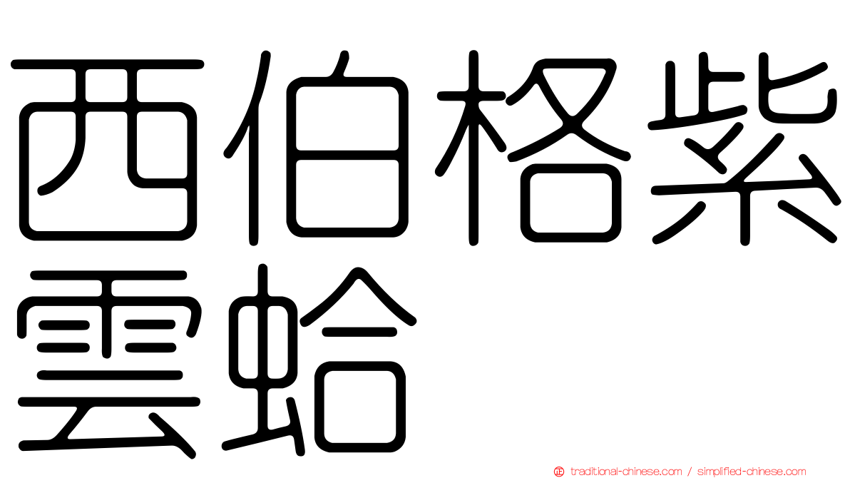 西伯格紫雲蛤
