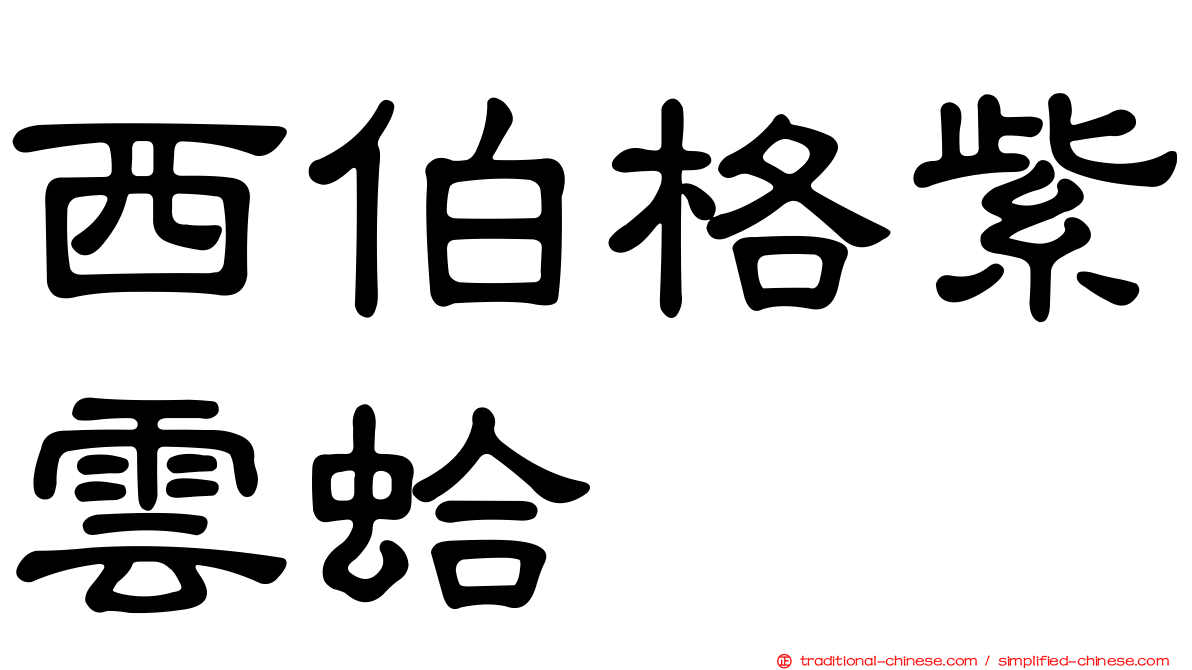 西伯格紫雲蛤