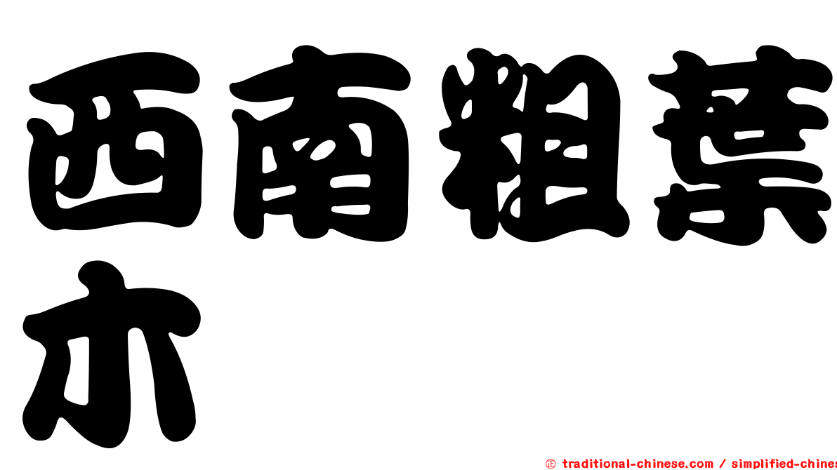 西南粗葉木